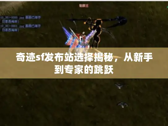 奇迹sf发布站选择揭秘，从新手到专家的跳跃