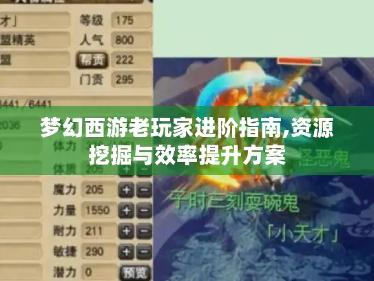 梦幻西游老玩家进阶指南,资源挖掘与效率提升方案