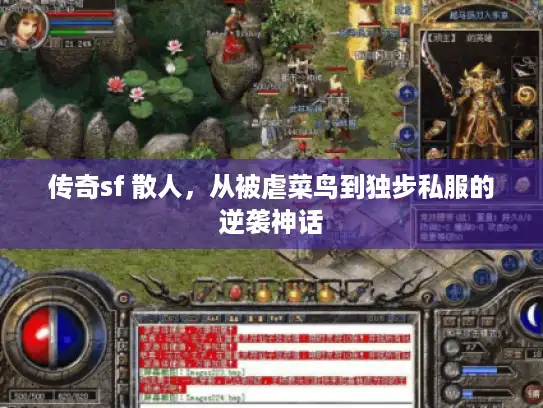 传奇sf 散人,从被虐菜鸟到独步私服的逆袭神话 传奇sf 散人,从被虐菜鸟到独步私服的逆袭神话