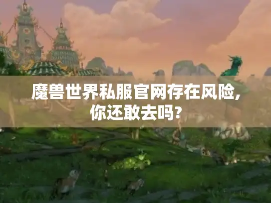 魔兽世界私服官网存在风险,你还敢去吗?