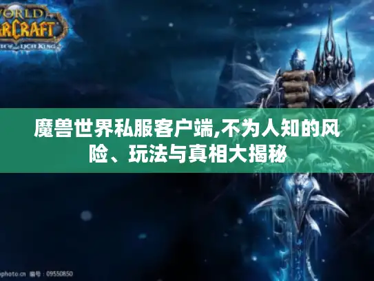 魔兽世界私服客户端,不为人知的风险、玩法与真相大揭秘