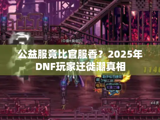 公益服竟比官服香？2025年DNF玩家迁徙潮真相
