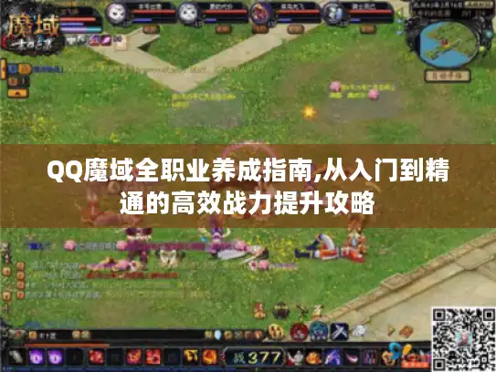 QQ魔域全职业养成指南,从入门到精通的高效战力提升攻略