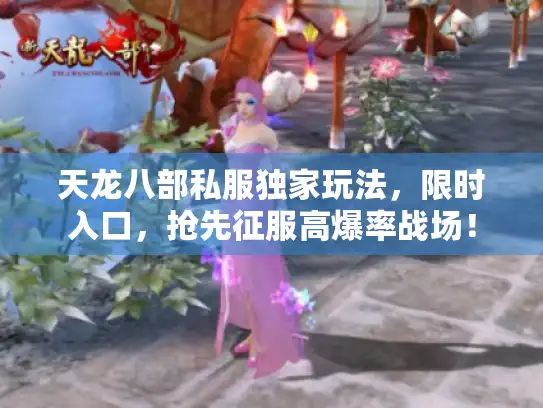 天龙八部私服独家玩法，限时入口，抢先征服高爆率战场！