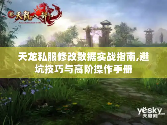 天龙私服修改数据实战指南,避坑技巧与高阶操作手册
