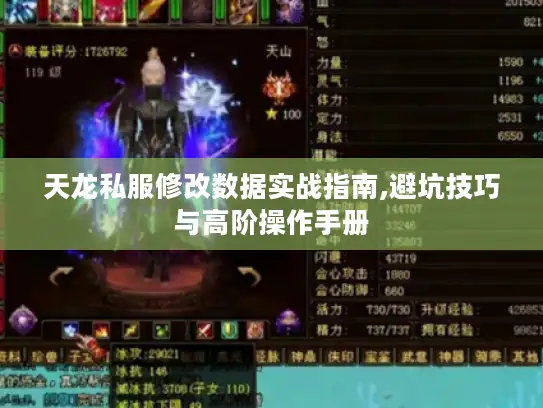 天龙私服修改数据实战指南,避坑技巧与高阶操作手册