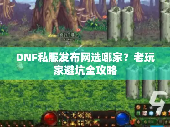 DNF私服发布网选哪家？老玩家避坑全攻略