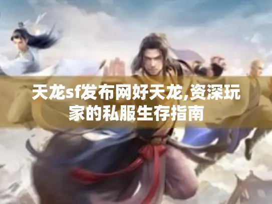 天龙sf发布网好天龙,资深玩家的私服生存指南
