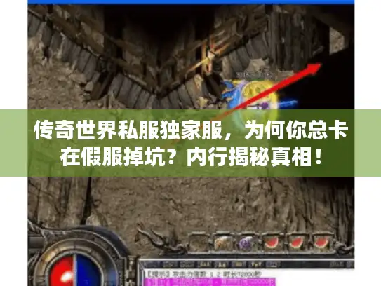 传奇世界私服独家服，为何你总卡在假服掉坑？内行揭秘真相！