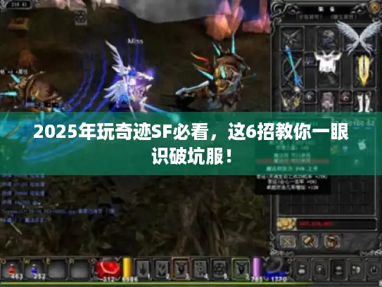 2025年玩奇迹SF必看，这6招教你一眼识破坑服！