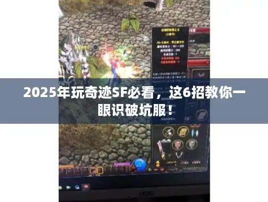 2025年玩奇迹SF必看，这6招教你一眼识破坑服！