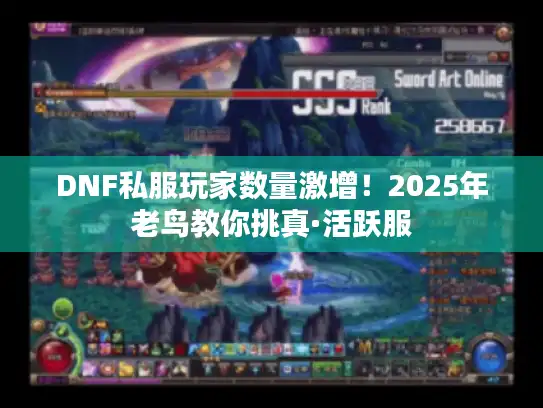 DNF私服玩家数量激增！2025年老鸟教你挑真·活跃服