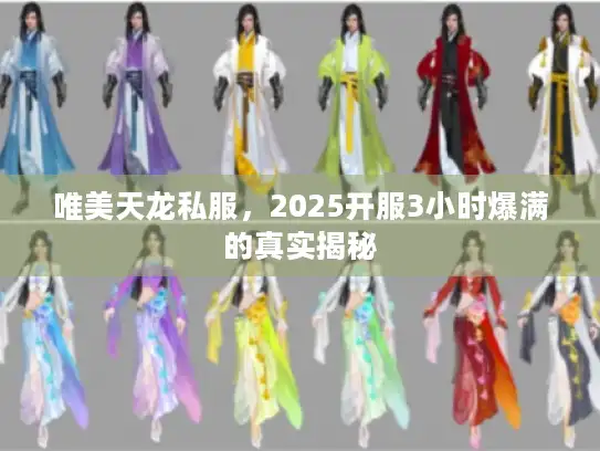 唯美天龙私服，2025开服3小时爆满的真实揭秘