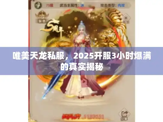 唯美天龙私服，2025开服3小时爆满的真实揭秘
