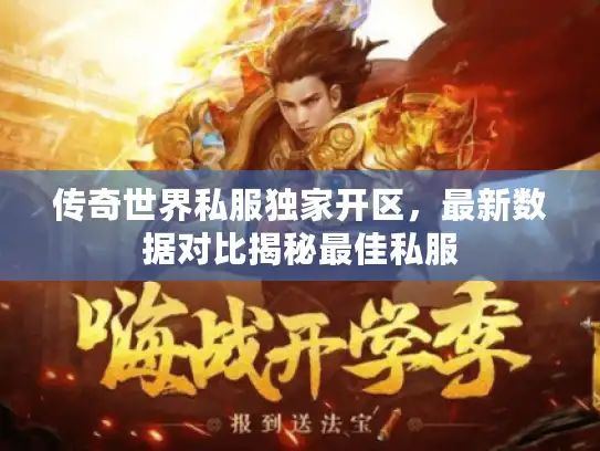 传奇世界私服独家开区，最新数据对比揭秘最佳私服