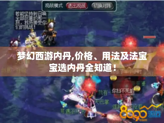 梦幻西游内丹,价格、用法及法宝宝选内丹全知道! 梦幻西游内丹,价格、用法及法宝宝选内丹全知道!