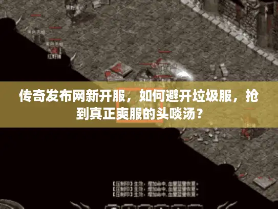 传奇发布网新开服,如何避开垃圾服,抢到真正爽服的头啖汤? 传奇发布网新开服,如何避开垃圾服,抢到真正爽服的头啖汤?