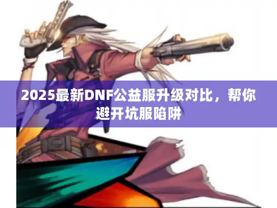 2025最新DNF公益服升级对比，帮你避开坑服陷阱