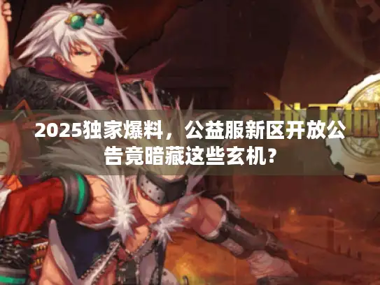 2025独家爆料，公益服新区开放公告竟暗藏这些玄机？