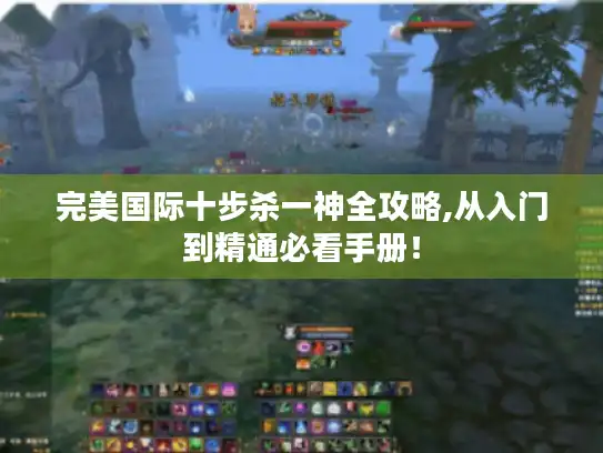完美国际十步杀一神全攻略,从入门到精通必看手册! 完美国际十步杀一神全攻略,从入门到精通必看手册!