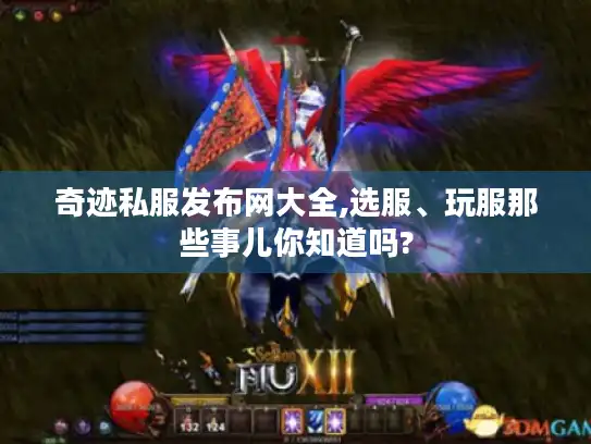 奇迹私服发布网大全,选服、玩服那些事儿你知道吗?