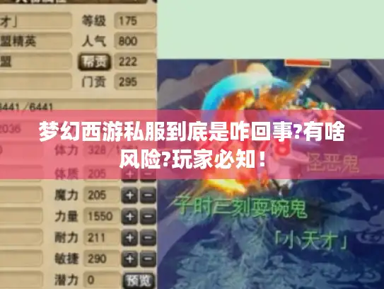 梦幻西游私服到底是咋回事?有啥风险?玩家必知！