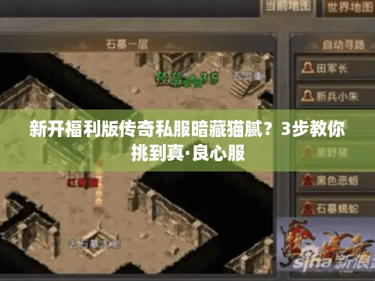 新开福利版传奇私服暗藏猫腻？3步教你挑到真·良心服