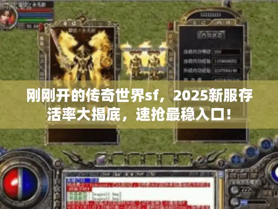 刚刚开的传奇世界sf,2025新服存活率大揭底,速抢最稳入口! 刚刚开的传奇世界sf,2025新服存活率大揭底,速抢最稳入口!