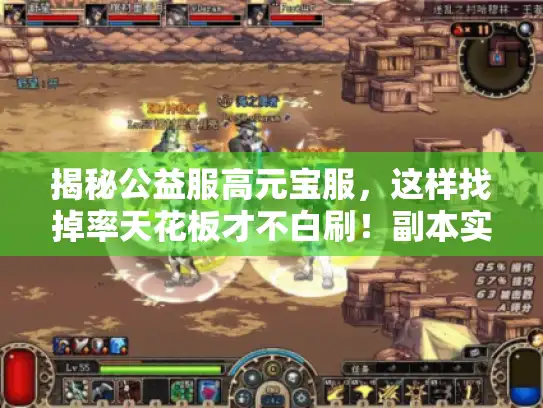 揭秘公益服高元宝服,这样找掉率天花板才不白刷!副本实测 揭秘公益服高元宝服,这样找掉率天花板才不白刷!副本实测