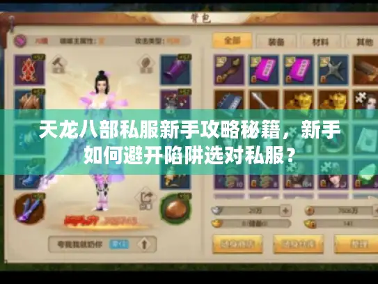 天龙八部私服新手攻略秘籍，新手如何避开陷阱选对私服？