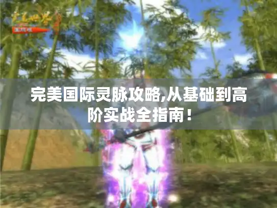 完美国际灵脉攻略,从基础到高阶实战全指南！