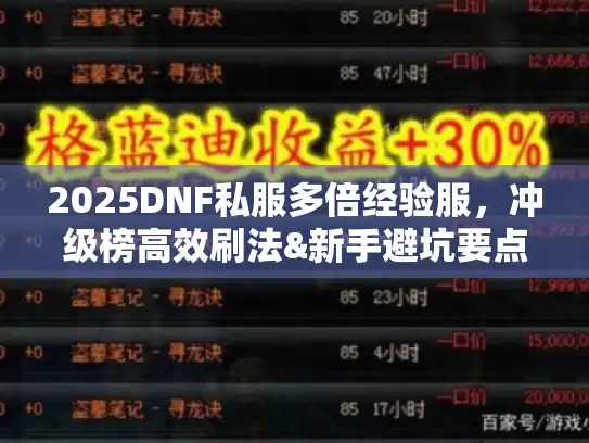 2025DNF私服多倍经验服,冲级榜高效刷法&新手避坑要点 2025DNF私服多倍经验服,冲级榜高效刷法&新手避坑要点