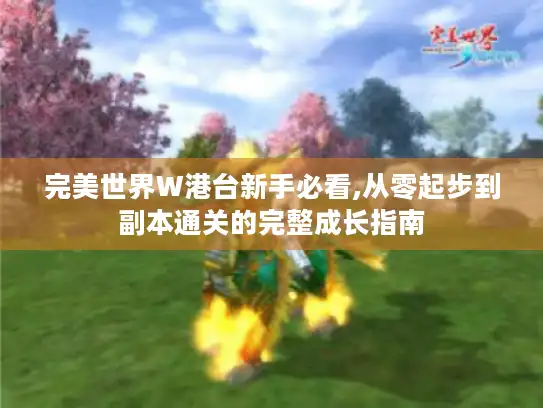 完美世界W港台新手必看,从零起步到副本通关的完整成长指南