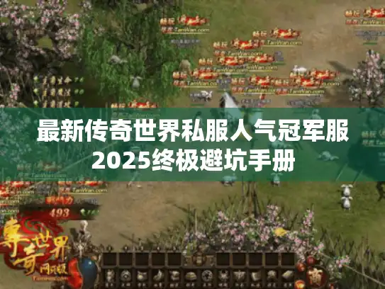 最新传奇世界私服人气冠军服2025终极避坑手册