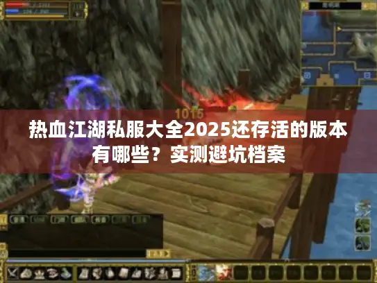 热血江湖私服大全2025还存活的版本有哪些？实测避坑档案