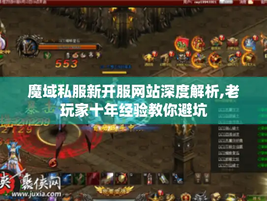 魔域私服新开服网站深度解析,老玩家十年经验教你避坑