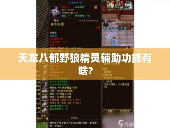 天龙八部野狼精灵辅助功能有啥?