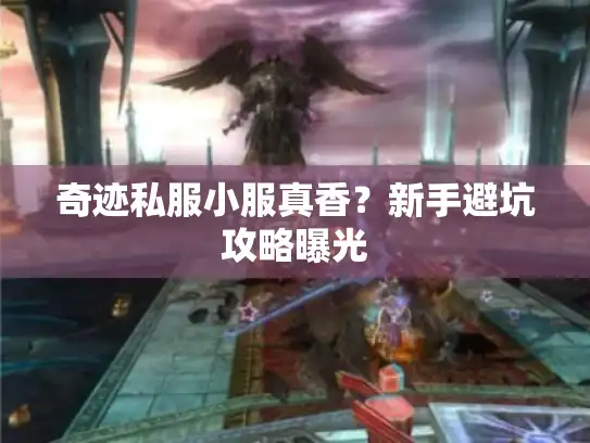 奇迹私服小服真香？新手避坑攻略曝光