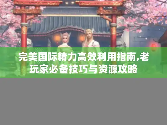 完美国际精力高效利用指南,老玩家必备技巧与资源攻略
