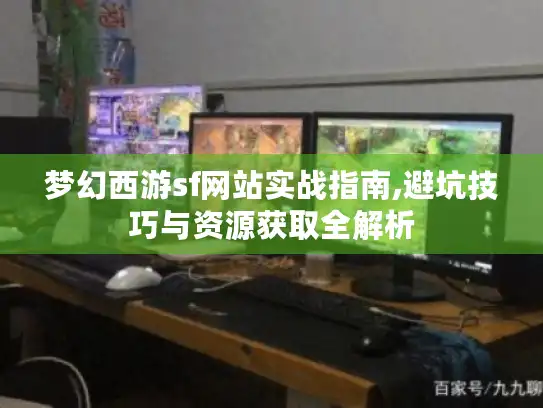 梦幻西游sf网站实战指南,避坑技巧与资源获取全解析