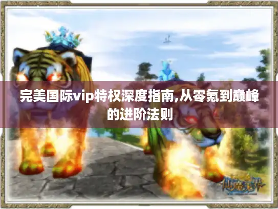 完美国际vip特权深度指南,从零氪到巅峰的进阶法则
