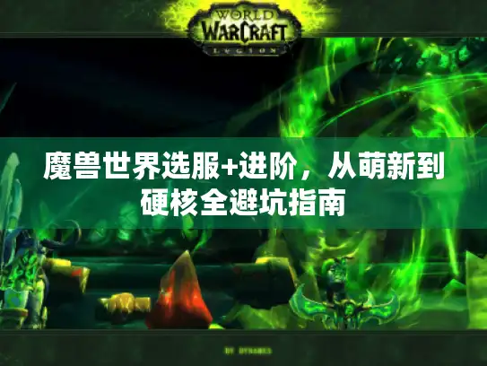 魔兽世界选服+进阶，从萌新到硬核全避坑指南