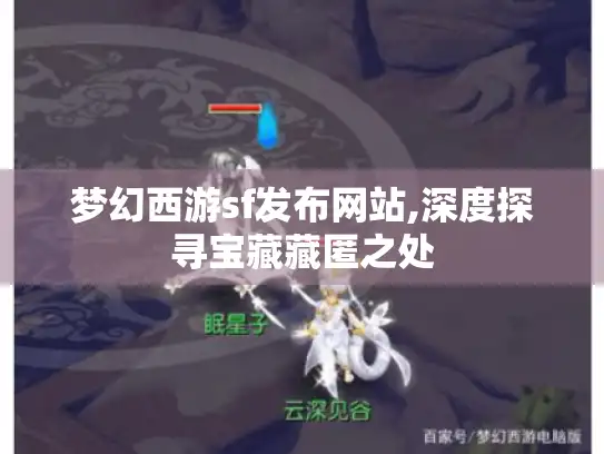 梦幻西游sf发布网站,深度探寻宝藏藏匿之处