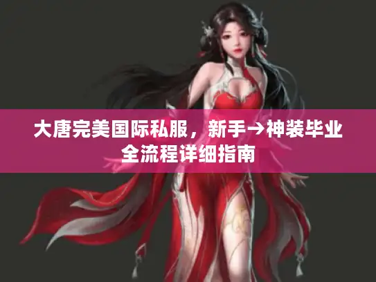 大唐完美国际私服，新手→神装毕业全流程详细指南