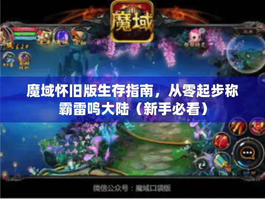 魔域怀旧版生存指南，从零起步称霸雷鸣大陆（新手必看）
