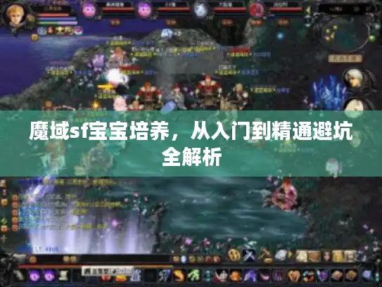 魔域sf宝宝培养，从入门到精通避坑全解析
