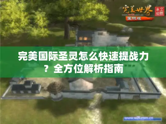 完美国际圣灵怎么快速提战力?全方位解析指南 完美国际圣灵怎么快速提战力?全方位解析指南