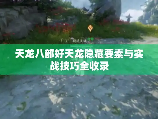 天龙八部好天龙隐藏要素与实战技巧全收录