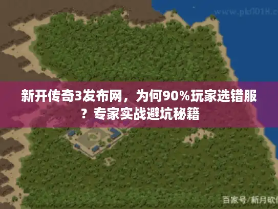 新开传奇3发布网，为何90%玩家选错服？专家实战避坑秘籍