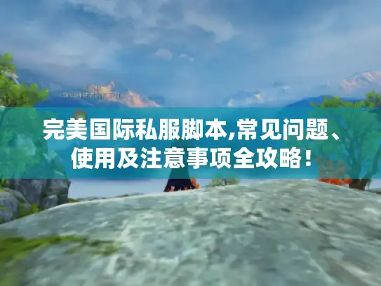 完美国际私服脚本,常见问题、使用及注意事项全攻略！
